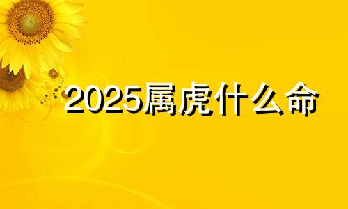 2025属虎什么命 2025属虎多大