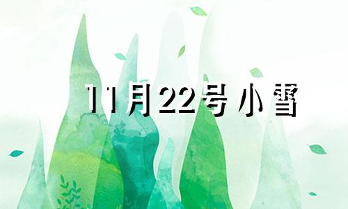 11月22号小雪 11月22小雪节气图片