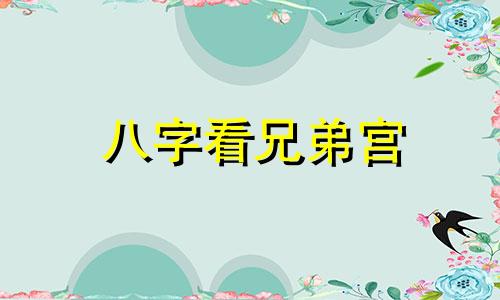 八字看兄弟宫 兄弟官鬼什么关系