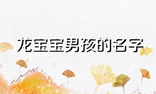 龙宝宝男孩的名字 男宝宝姓龙名字大全集