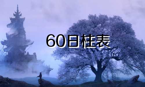 60日柱表 60日柱论命