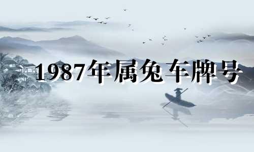 1987年属兔车牌号 87年属兔的车牌号哪个数字好