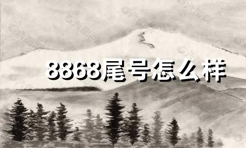 8868尾号怎么样 尾号8866是靓号吗