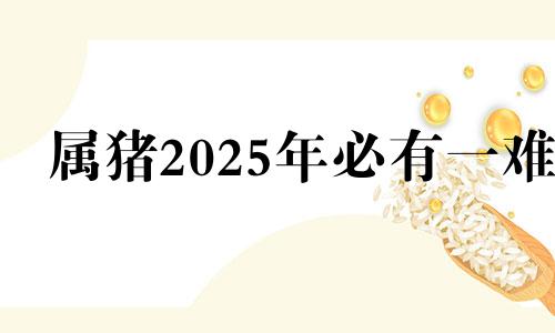 属猪2025年必有一难