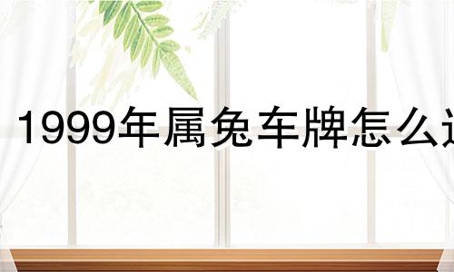 1999年属兔车牌怎么选 1999年属兔6位吉祥数字