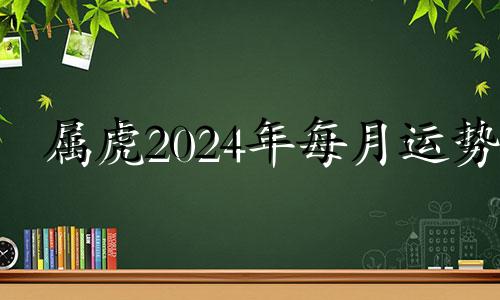 属虎2024年每月运势 属虎人2024年运程及每月运势