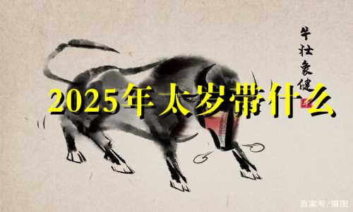 2025年太岁带什么