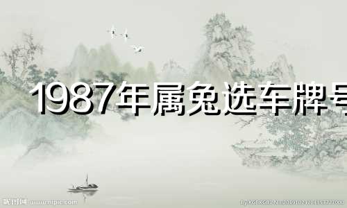 1987年属兔选车牌号 1987年属兔车牌号吉祥字母