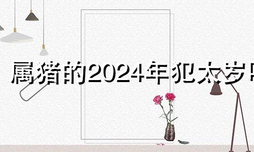 属猪的2024年犯太岁吗 属猪在2025蛇年的运气