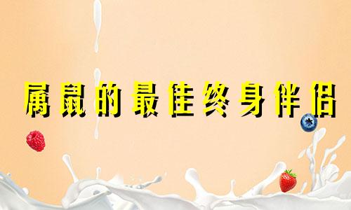 属鼠的最佳终身伴侣 属狗的最佳终身伴侣男生