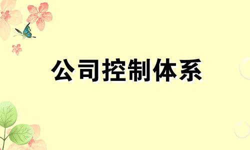 公司控制体系 企业控制系统的组成