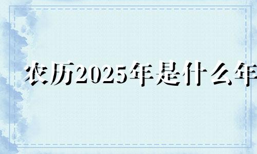 农历2025年是什么年