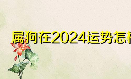 属狗在2024运势怎样 属狗2024年运势及运程每月运程狗