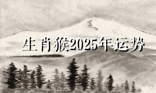 生肖猴2025年运势 属猴2025年运势及运程