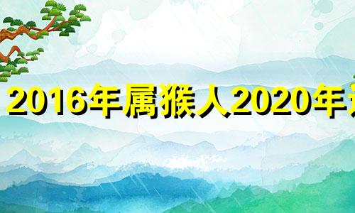 2016年属猴人2020年运势 2016年生肖猴2024年运势