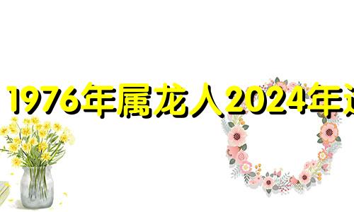 1976年属龙人2024年运势 1976年的龙在2024年怎么样