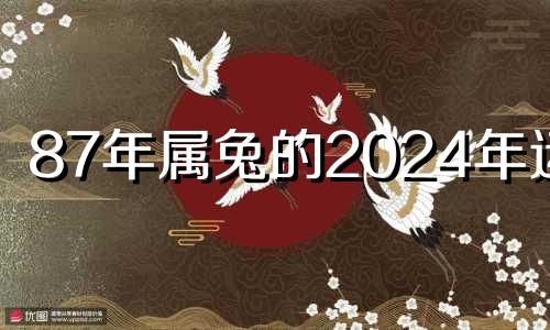 87年属兔的2024年运势 1987年在2024年运势