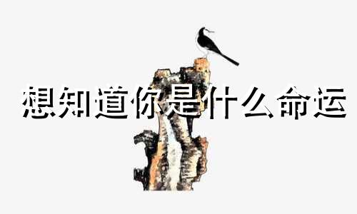 想知道你是什么命运 你知道你是什么命吗