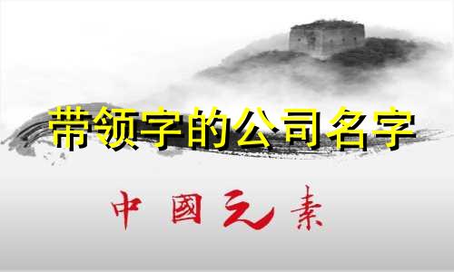 带领字的公司名字 领开头的公司名