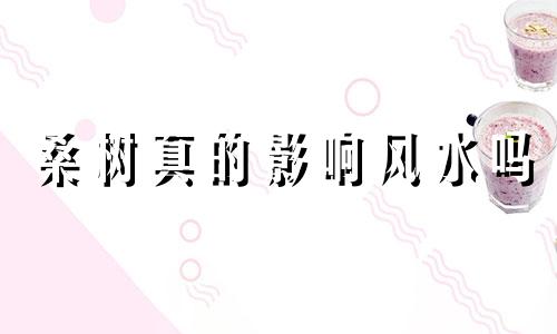 桑树真的影响风水吗 桑树会生病吗