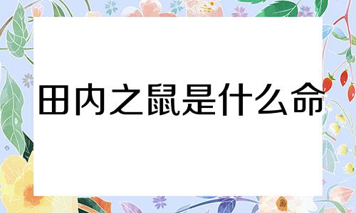 田内之鼠是什么命 田内之鼠是什么意思