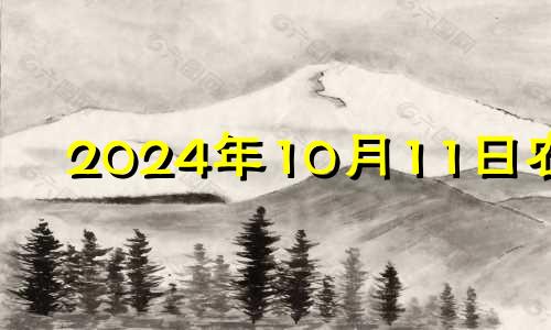 2024年10月11日农历 2024年10月10日是什么日子