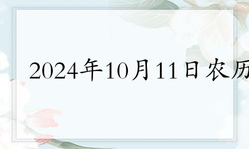 2024年10月11日农历 2024年十月一日