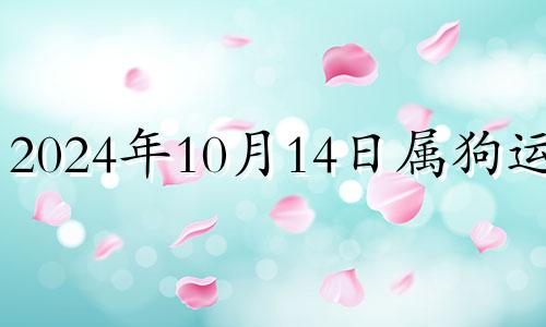 2024年10月14日属狗运势 2020年10月14日五行穿衣指南