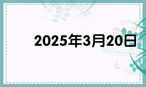 2025年3月20日 2024年3月25号