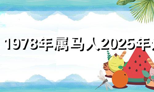 1978年属马人2025年运势 78年属马的2025年怎么样