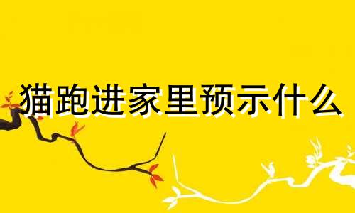 猫跑进家里预示什么 是好征兆吗