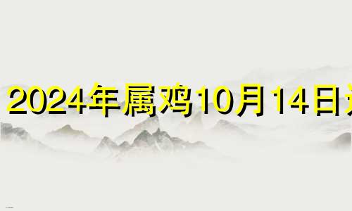 2024年属鸡10月14日运势 2024年10月15日是星期几