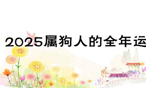 2025属狗人的全年运势 生肖狗在2025年的运势以及注意月份