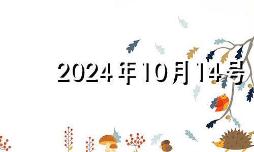 2024年10月14号 2024年10月15日是星期几