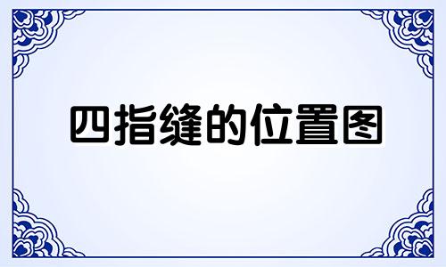 四指缝的位置图 手指的四缝在哪里