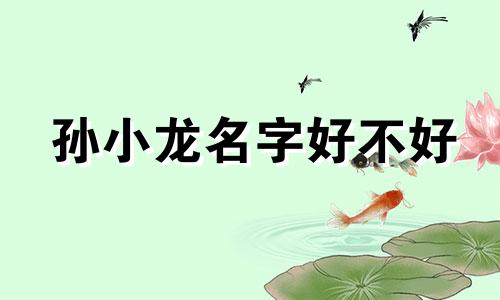 孙小龙名字好不好 孙晓龙名字怎么样