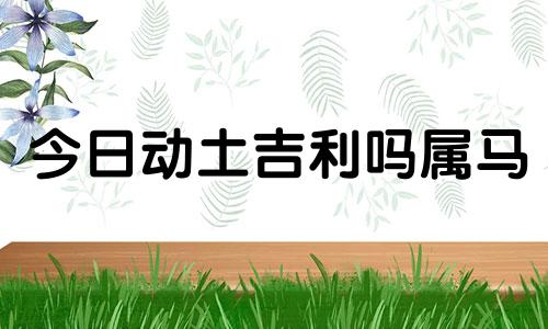 今日动土吉利吗属马 今日动土吉凶