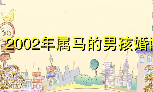 2002年属马的男孩婚配 2002年的马男孩配什么样的属相女孩婚配最好