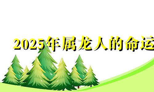 2025年属龙人的命运 属龙人在2025年的运势