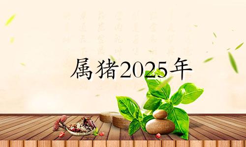 属猪2025年 2025年生肖猪运势