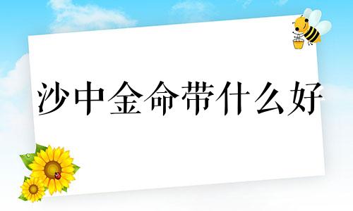 沙中金命带什么好 沙中金命起名带什么字好