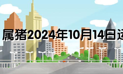 属猪2024年10月14日运势 2024年属猪10月运势