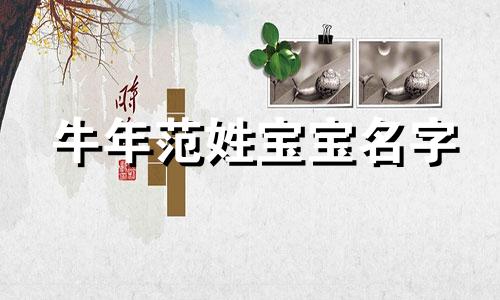 牛年范姓宝宝名字 范姓宝宝取什么名字好?