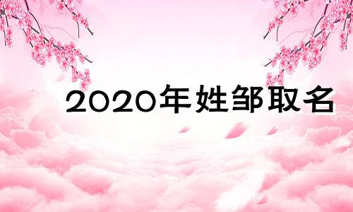 2020年姓邹取名 2024年邹的名字