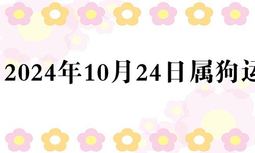 2024年10月24日属狗运势 十月二十四五行穿衣