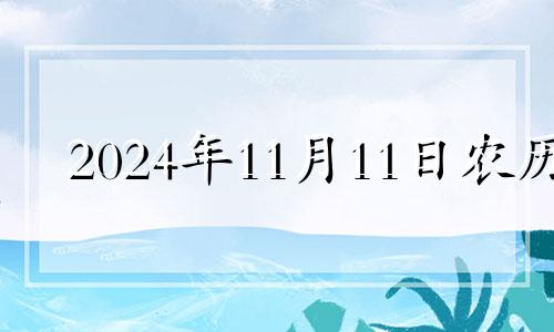 2024年11月11日农历 2024年11月14号生肖运势易星网