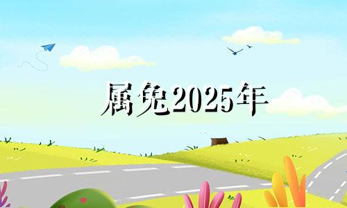 属兔2025年 2025年生肖兔