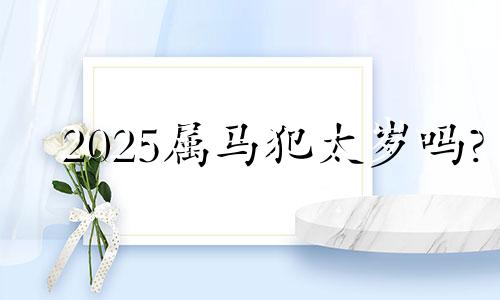 2025属马犯太岁吗? 2025年属马人