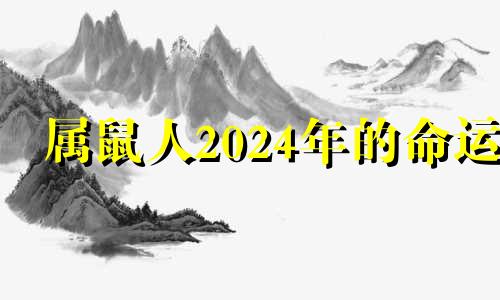 属鼠人2024年的命运 属鼠人2024年运势及运程