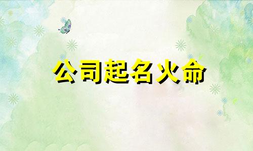 公司起名火命 公司名字带升